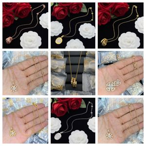 Designer Fashion Luxury necklace high quality jewelry chains necklaces for women and mens party Gold jewellery party gift