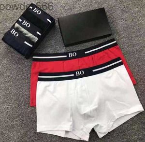 3pcs Mens Underwear Underpants Boxer Organic Cotton Shorts Modal Sexy Gay Male Boxer traspirante New Mesh Man Asia Size M-XXL E08V