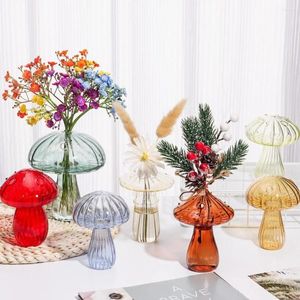 Vasi di vetro Vaso trasparente fiore idroponico bottiglia di funghi di zucca decorazione