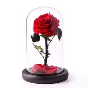 1 st naturligt evigt liv steg i glasskupol på träbas bevarad verklig ros för alla hjärtans dag gåva hembord bröllopsdekor