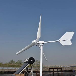 Vindgenerator Portable 1000W Alternative Energy Windmills 12V 24V 48V Vindturbin för hemmabruk
