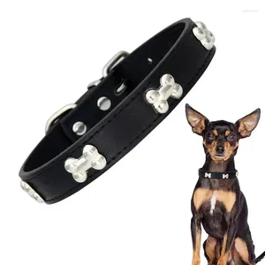 Colarinhos de cachorro Pet Kitten Ajuste Kitten Chokers de pescoço respirável com fivelas colarinho acolchoado durável para caminhar correr