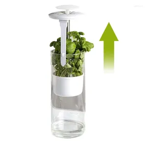Бутылки для хранения кинза -хранители сохранение контейнера для овощей зеленый контейнер зеленый зеленый