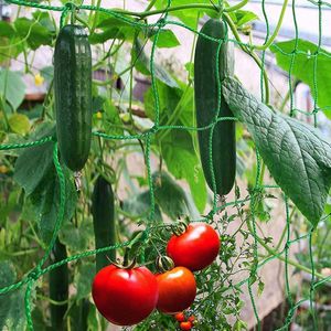 Plant Trellis Netting Pea Netting Green Garden Netting Trellis Net för bönfrukter Grönsaker Klättring Växter 0,9/1,8 m*1,8 m k2b0