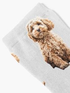 Cockapoo Cavoodle Labradoodle süßer Welpehund-Pudel x Socken Nicht-Schlupf-Fußballsocken lustige Socken Mann Golf