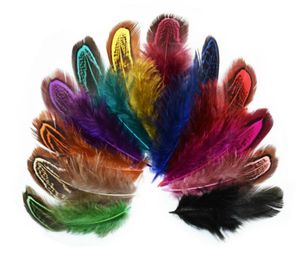 100 pezzi da 410 cm Pheats Feather Tails Fiathers Fan per la festa di nozze di abbigliamento da cucito artigianale decorazione per la casa8659490