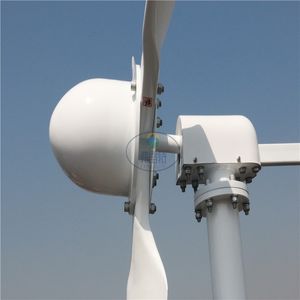 FLTXNY 2000W Horizontal Wind Turbine Generator 24V 48V With 2000W Grid Tie MPPT Inverter Bult In WIFI/Limiter