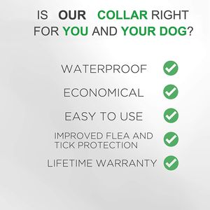 Benepaw Safe Dog Flea and Tick Collar Natural Ipoallergenico Collamento per animali domestici Una dimensione adatta a tutta la protezione di 8 mesi