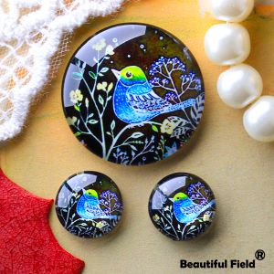 12 mm 25 mm 14 mm 16 mm 18 mm 20 mm Foto Schöne Glas Cabochons runde Cameo -Set Handgemachte Einstellungen Stein Natur NA030