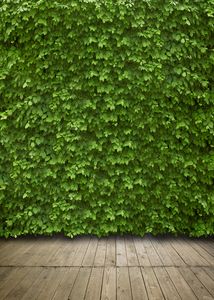 Capisco Photography Background Green Folhas de parede piso de mola jardim de primavera pano de fotografia de fotografia fotofone fotoóbio