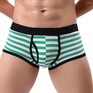 Underpants 2024 Men Briefs Sexy mass listrado Breathe Rouphe Bulge bolsa shorts HOMBRE DE ROPA INTERIOR