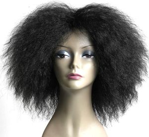 Wig Short Fluffy Hair Afro Kinky Curly Black Brown Natural Heat Resistant Synthetic Cosplay Wigs for Black Women4580871