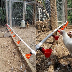 24pcs自動チキンウォーターカップ、プラスチック裏庭チキンウォーターフィーダー、鶏肉水飲料ボウル、フロートスタイルの飼料