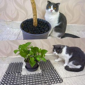 Кошки -кот -коврик для кошек 12pcs Carpet с вскрыты