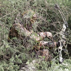 春秋の木迷彩狩りギリースーツ防水釣りスーツ戦術的な屋外野生生物CS服フード付きジャケットパンツ