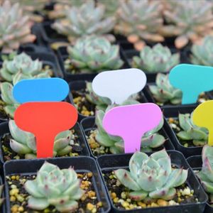 50/100pcs Renkli Bitki Etiketleri Etiketler İşaretler Bahçe Araçları Sebze Tohumları Etiketleri Sign Pvc Bahçe Bahçesi Toprak Boya Su Geçirmez