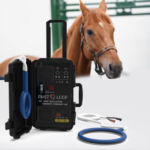 Cavallo sanitario Veterinario Trattamenti fisici Macchina PEMF Loop Migliora i cavalli Sugurenza Sollievo dal dolore e riparazione delle ossa Dispositivo di terapia magnetica PEMF