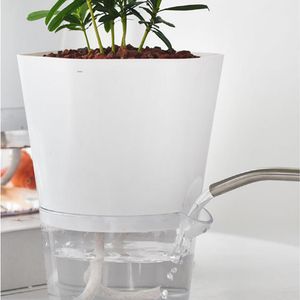 Inovador vaso de flores preguiçoso automático que absorve a água de flores transparentes de plantas de plantador de auto-rega plástico transparente vagens de berçário
