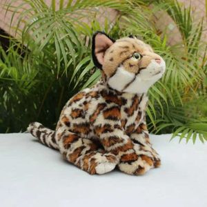 Bambole peluche 27 cm simpatica simulazione bambola gatto bengalese piccola bambola gatta fiore peluche bambola simulazione animale simulazione di animale da bambola regalo j240410