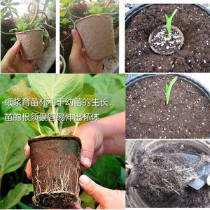 EcoFriendly Paper Plant Grow Flowers Pot Nursery Cup Kit Organic Biodegradable Home Garden Tools