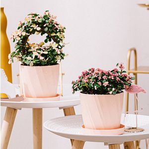 1 PC nórdico minimalista de desktop resina carnuda grossa plástica branca lã rosa maiza de flores em vaso de cerâmica plantador de rega de cerâmica