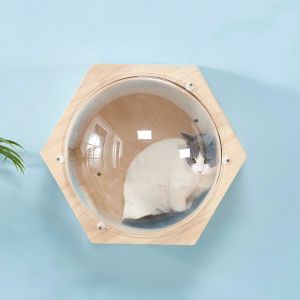 Wand montiertes Holz Katzenhaus Bett Katzenbaumturm Raumkapsel Katze Kletterrahmen Kätzchen Spielzeug Kletterleiter Haustier Scratch Furniture