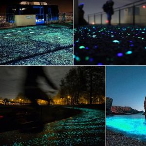 100 pezzi Ornamenti per acquario Glow nelle pietre di ciottoli luminosi scuri per decorazione