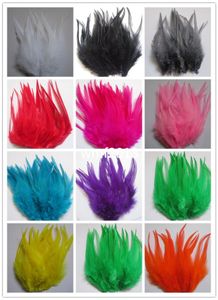 Partihandel 50st / mycket vacker nacke tuppfjädrar 10-15 cm / 4 till 6 tum olika färger