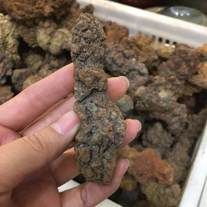 Coprolite Fossilized Dinosaur Poop Prov Fossil Madagascar 70-90G