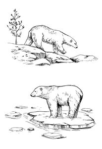 Ландшафтный дерево/белые медведь/горные марок скрапбукинг