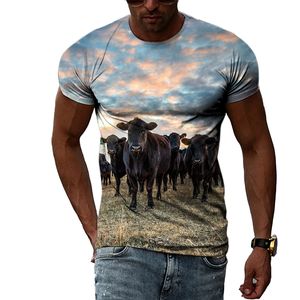 Summer New Animal Cow Graphic T-shirt 3D Printing Oryginalny osobowość krótkoczepowo-szciśnięta Podróbka o szybkim suszonym top