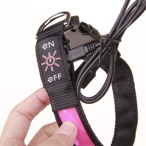 PET USB Şarj LED Önleyici Önleyici Aydınlık Yaka 61-64cm Pet Köpek Yaka Gece Köpek Parlakları Parlayan Aydınlık Köpek Aksesuarları