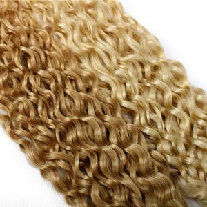 Real Beauty Ombre Brazilian Water Wave Wave Weave S P27/613 Podświetlanie włosów Bundl Remy 40gram miód blond zmieszany z 60 gramami #27