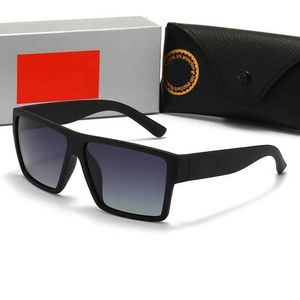 Nova marca clássica Wayfarer Luxury Square Sunglasses Men Women Acetate Frame com lentes de vidro de raio óculos de sol para masculino UV400 TortoisShell Co M946