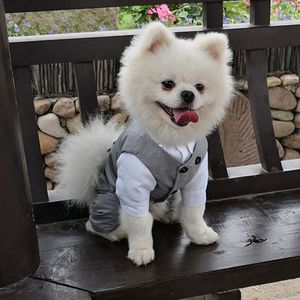 Pet Clothes Shirt Suit Waistcoat Vest Stylish For Dog Cat Puppies Wedding Party Suit Handsome Pet Dogs Outdoor Wondering Clothes