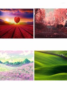 Party Decoration Nature Scenic Theme Birthday Baby Shower Pography Background Children Room Decor Supplie