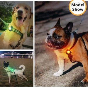 USB Dog LED Lights Recharge Waterproof Dog Tag for Night Walking Bright High Visibility Anti-lost Glow Attach to Collar Harness