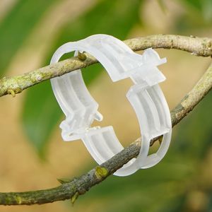 50-1000pcs Gardening Plant Support Clips Plástico Clips Vine Solder Garden Flower Strawberry Pedrancador de tomate clipe Fixer