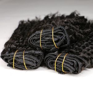 Afro Kinky Curly Clip in Haarverlängerungen 4B 4C Clip Ins 120G 8pcs Brasilianische Remy Human Hair Bündel Installieren Sie die Vollkopf -Erweiterung