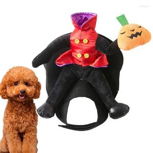 Hundkläder pumpa husdjur kostym söt katt hatt halloween rolig fest dekoration riddare stil kläder för cosplay kostymer