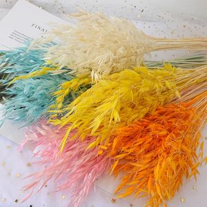 10st Vete Flower Bouquet Real Torked Natural Plant Oats Dry Flower Home Room Table Decor Wedding Party Pampas Grass Decoration