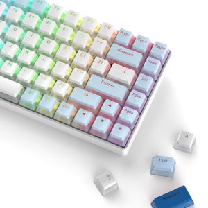 Accessories XVX 165 Key Set Pudding Keycaps Double Shot Blue White PBT OEM Profile DIY Keycap for 100%, 75%, 65%, 60% Mechanical Keyboard