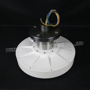 Free Energy Wind Turbine Vertical Axis 600W 1000W 1200W 12V 24V 48V Low RPM Permanent Magnet Alternator Generator