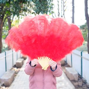 Högkvalitativ vit extra stor fluffig strutsfjäderfläkt dekorera Halloween Party Belly Dance Fan DIY 10-20 Fjädrar fläktstänger