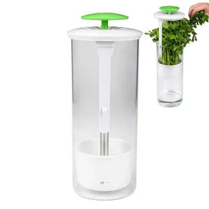 Förvaringsflaskor korianderhållare gröna grönsaker sparare bevarare färsk arrangör med ventilation slot kök prylar