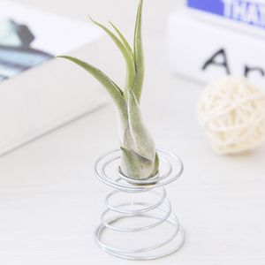 Hot Sell Metal Spring Air Plant Holder Hanging Rack Stand Containers Flower Holder Balcony Decor Silver Air Spring Base