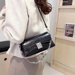 Borse casual da donna casual borse di moda e borsetta 2024 designer di lusso borse per catena metallica crossbody lady
