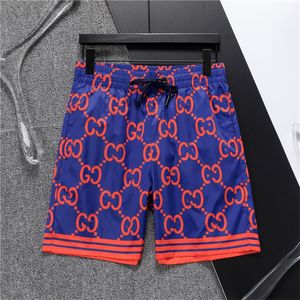 Sommerdesigner High-End-Qualität reines Baumwoll- und Frauen-Shorts Modemarke Trend Multi-Farben-Kleidung Beachhose M-2xl