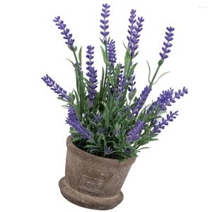 Fiori decorativi Lavanda artificiale Piatti in vaso in vaso olio essenziale rosmarino