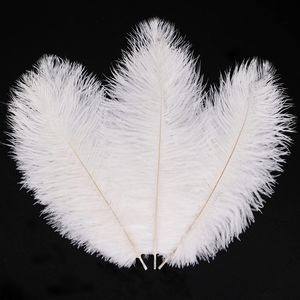 10pcswhite Strauß Federn Hochzeitsmittelstücke für Tische Dekordiy Fly Binding Materialhandwerk Accessoires Lieferungen Karneval